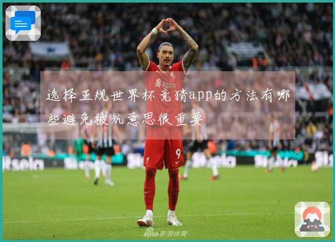 选择正规世界杯竞猜app的方法有哪些避免被坑意思很重要