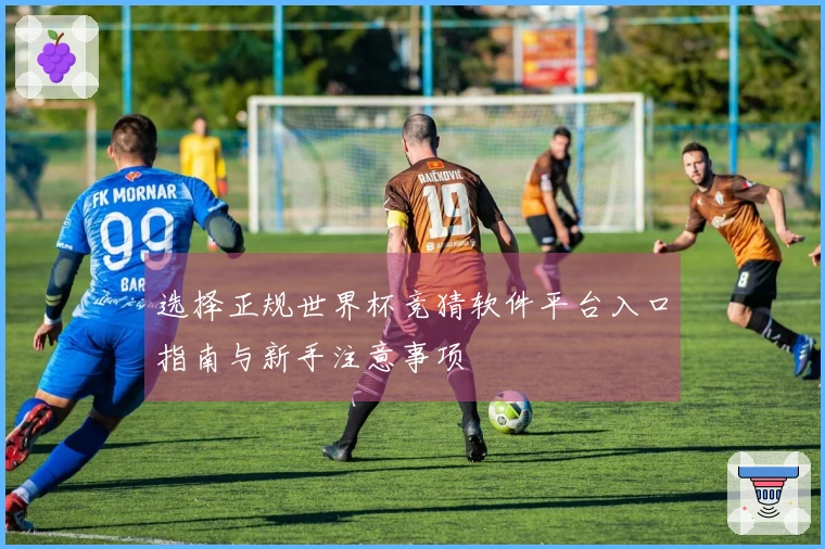 选择正规世界杯竞猜软件平台入口指南与新手注意事项
